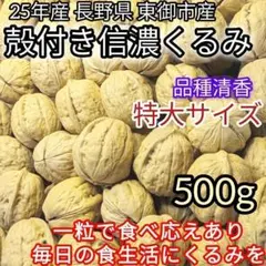 特大 殻付き信濃くるみ 長野県 東御市産 毎日食事に 健康食品 500g