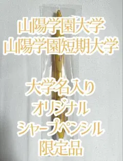 山陽学園大学 山陽学園短期大学 シャープペンシル 新品未使用未開封 パイロットのサムネイル