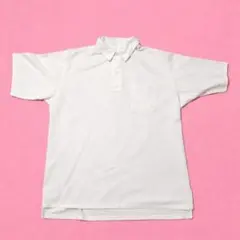 【定価1.8万】ノースフェイス パープルレーベル ポロシャツ M ナナミカ白のサムネイル