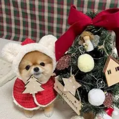 ペット服　ケープ　クリスマス　犬猫　ワンちゃん　ペット　耳付き　ポンチョ　可愛い