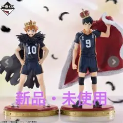 2026年最新】一番くじ ハイキュー B賞 日向 影山の人気アイテム