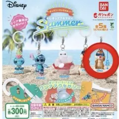 3点セット めじるしアクセサリー SUMMER ディズニー チップ 