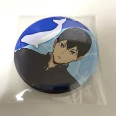 ハイキュー‼︎ アクアリウムキャラバン 水族館 スタンプラリー　缶バッジ　影山飛雄
