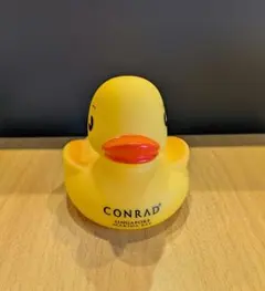 アヒル☆コンラッドマリーナベイ☆