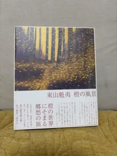 1000円値下げ！】東山魁夷 色の風景三部作 青の風景、橙の風系、白の