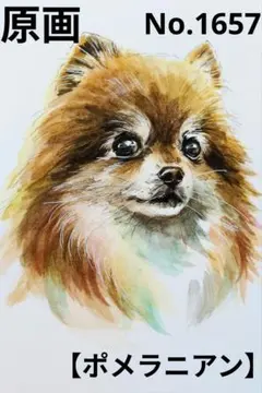 【ポメラニアン】手描きイラスト 原画《1657》