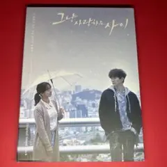 ただ愛する仲 OST (韓国盤)　サントラ　CD Amazon.co.jp: ただ愛する仲 OST (JTBC TVドラマ): ミュージック