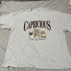 make a ray! 半袖 Tシャツ 猫プリント グレー ビック　オーバー　Lのサムネイル