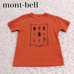 Item thumbnail for item dbc33919-6aad-4814-8060-68b3e2e78f7e