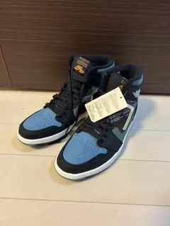入手困難　新品　Nikeエアジョーダン1　エレメント GORE-TEX 30cm