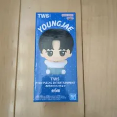 2026年最新】TWS From PLEDIS ENTERTAINMENTの人気アイテム - メルカリ