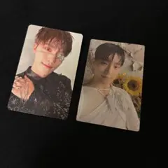 ディノ トレカ 2枚セット