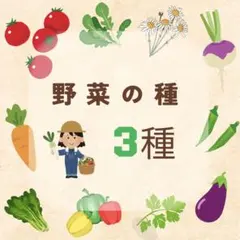 ●選べる野菜の種　3種セットのサムネイル