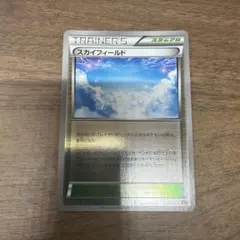 スカイフィールド XY BREAK プレミアムチャンピオンパック EX×M×B…のサムネイル