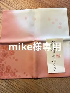 茶道用 帛紗 ふくさ 徳斎 春 御題帛紗