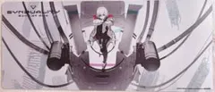 2025年最新】SYNDUALITY マットの人気アイテム - メルカリ