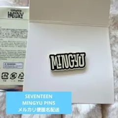 【ミンギュ】SEVENTEEN HOLIDAY 2025 ランダムPINS