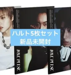 TREASURE LOVE PULSE ハルト アルバム 5枚セット 新品未開封