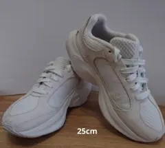 ニューバランス ワープドランナー 25