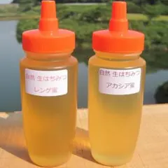 ♦️アカシア蜂蜜２本&レンゲ蜂蜜２本　生はちみつ　非加熱ハチミツ
