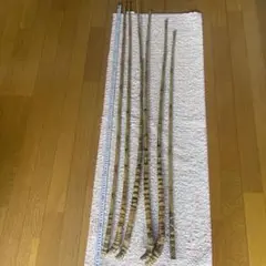 布袋竹ーー１２