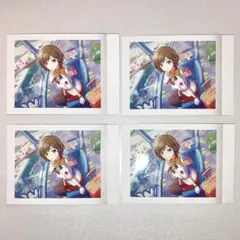 MEIKO　ぱしゃこれ　7B