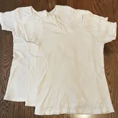 肌着 グンゼ 3枚セット 140 半袖 キッズ アンダーシャツ ホワイト