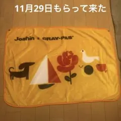 Joshin x CRAY-PAS フリースブランケット