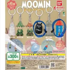 MOOMIN めじるしアクセサリー2(スティンキー・ムーミンやしき)