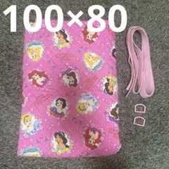 ディズニープリンセス 生地 布地 はぎれ ピンク 幼稚園 保育園 ハンドメイド