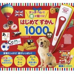 【新品 未開封】はじめてずかん1000