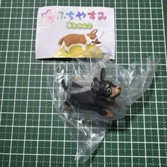 ふちやすみ 色々わんこ ダックスフンド