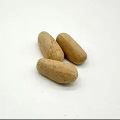 2026年最新】エンセファラルトス 種子の人気アイテム - メルカリ