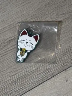 Item thumbnail for item 804b05f4-afd0-48d5-92b5-afdadfd5d643