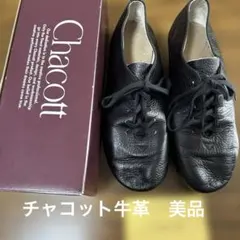 チャコット、ジャズシューズ牛革24センチ、美品のサムネイル