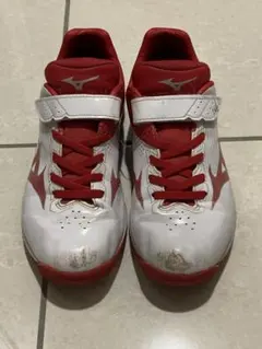 Item thumbnail for item e423323d-1d7a-4d66-ab19-0cba4dc284fb