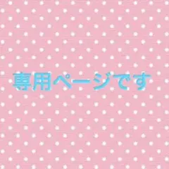 名前ワッペン　ほし　星　ホシ　スター　ゼッケン　名札