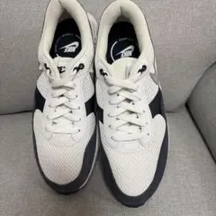 ナイキ AIR MAX SYSTEM 25cm