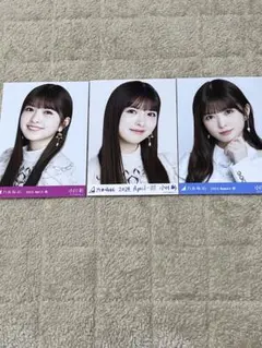 乃木坂46 生写真 乃木コレ 2024.April-Ⅲ 山下美月 小川彩 - メルカリ