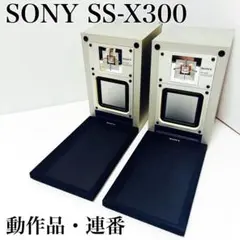 2026年最新】sony ss-x300の人気アイテム - メルカリ
