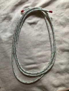 Item thumbnail for item 3e2d838c-395b-4978-92e5-c7fe5aa98a51