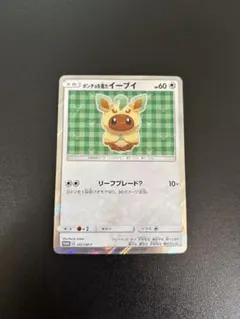 2026年最新】ポンチョを着たイーブイの人気アイテム - メルカリ