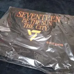 2026年最新】セブチ ブランケットの人気アイテム - メルカリ