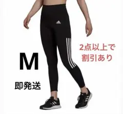 Item thumbnail for item 9e1d701b-e4e6-494a-9b50-6598a77ecc3e