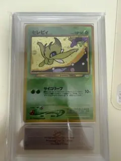 ポケモンカード】超貴重！絶版 ヨクバリスv SR スペシャルアート PSA10
