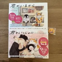 新品未開封 天使が巻いたオルゴール CD あらいぐまラスカル