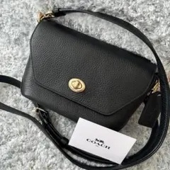 Item thumbnail for item 591cc8df-3d03-43f6-b888-9f820ea0bd34