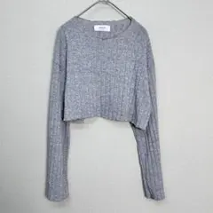 DARPHIN　ショート丈セーター　グレー　A100
