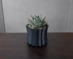 4号サイズ　3Dプリント鉢　3Dプリンター鉢　アガベ　作家鉢のサムネイル