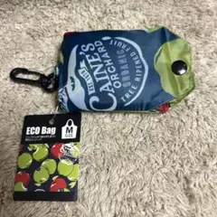 Item thumbnail for item 01614971-9cd4-4c69-8774-5f71249b33b9